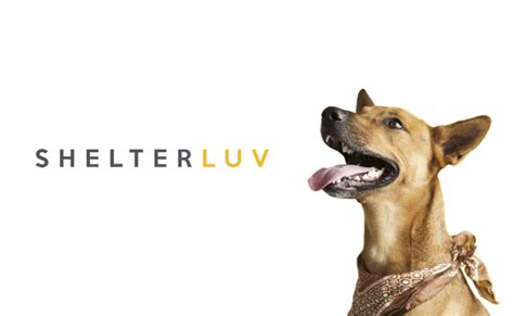 shelter luv|is shelterluv a scam.